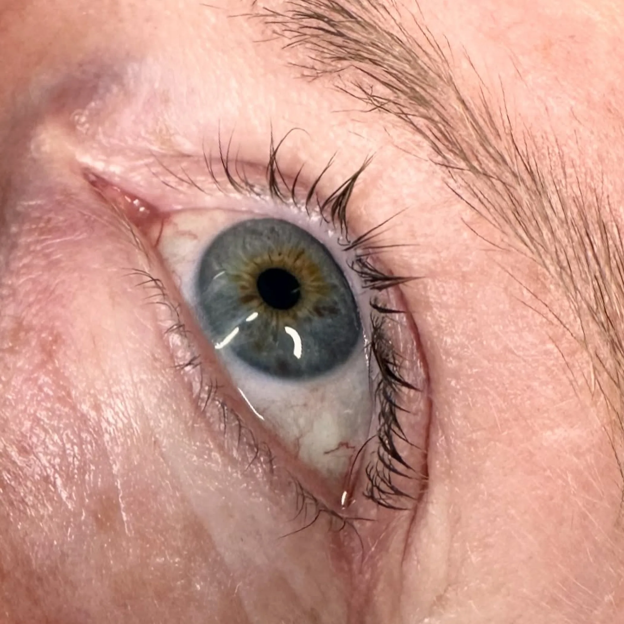 tattooed lash line close-up