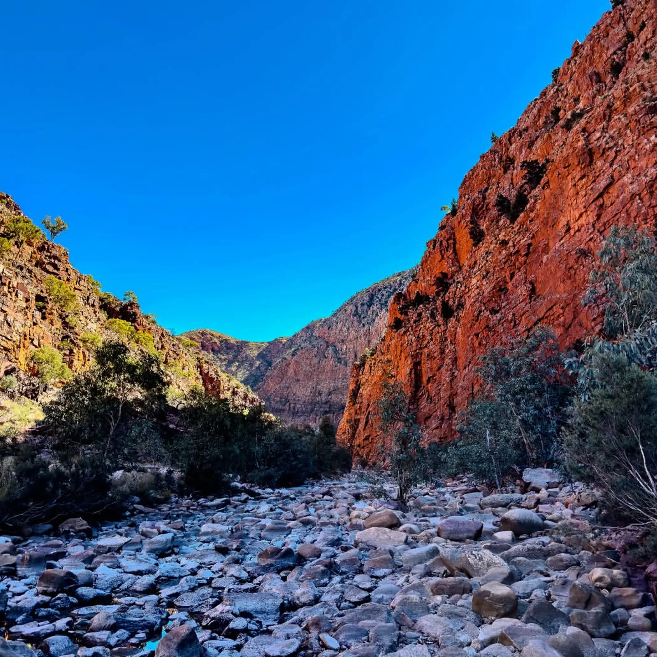 west macdonnell landscape