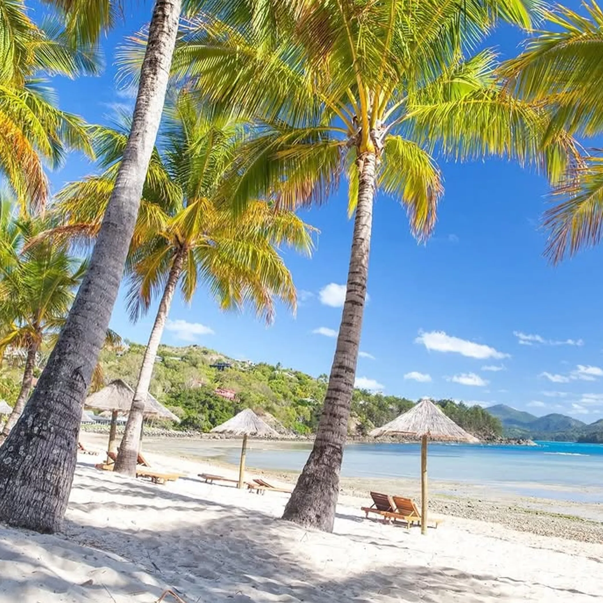 catseye beach and whitsunday scenery