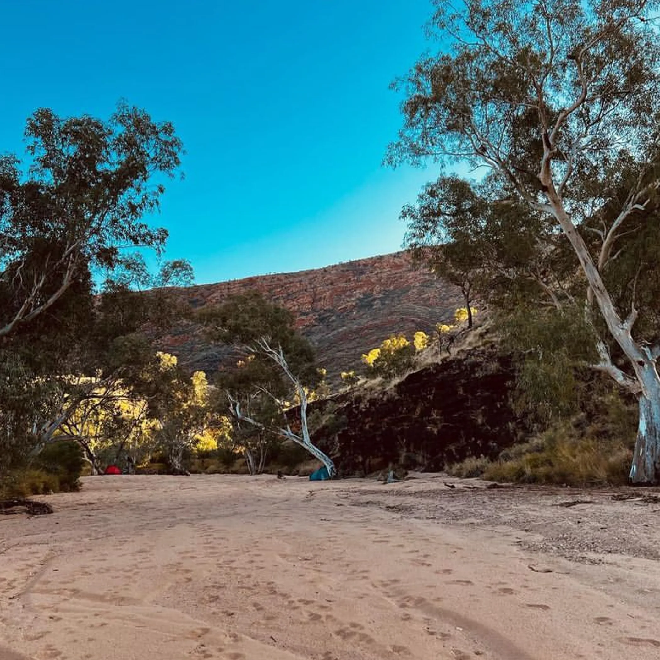 larapinta trail west macdonnell landscape
