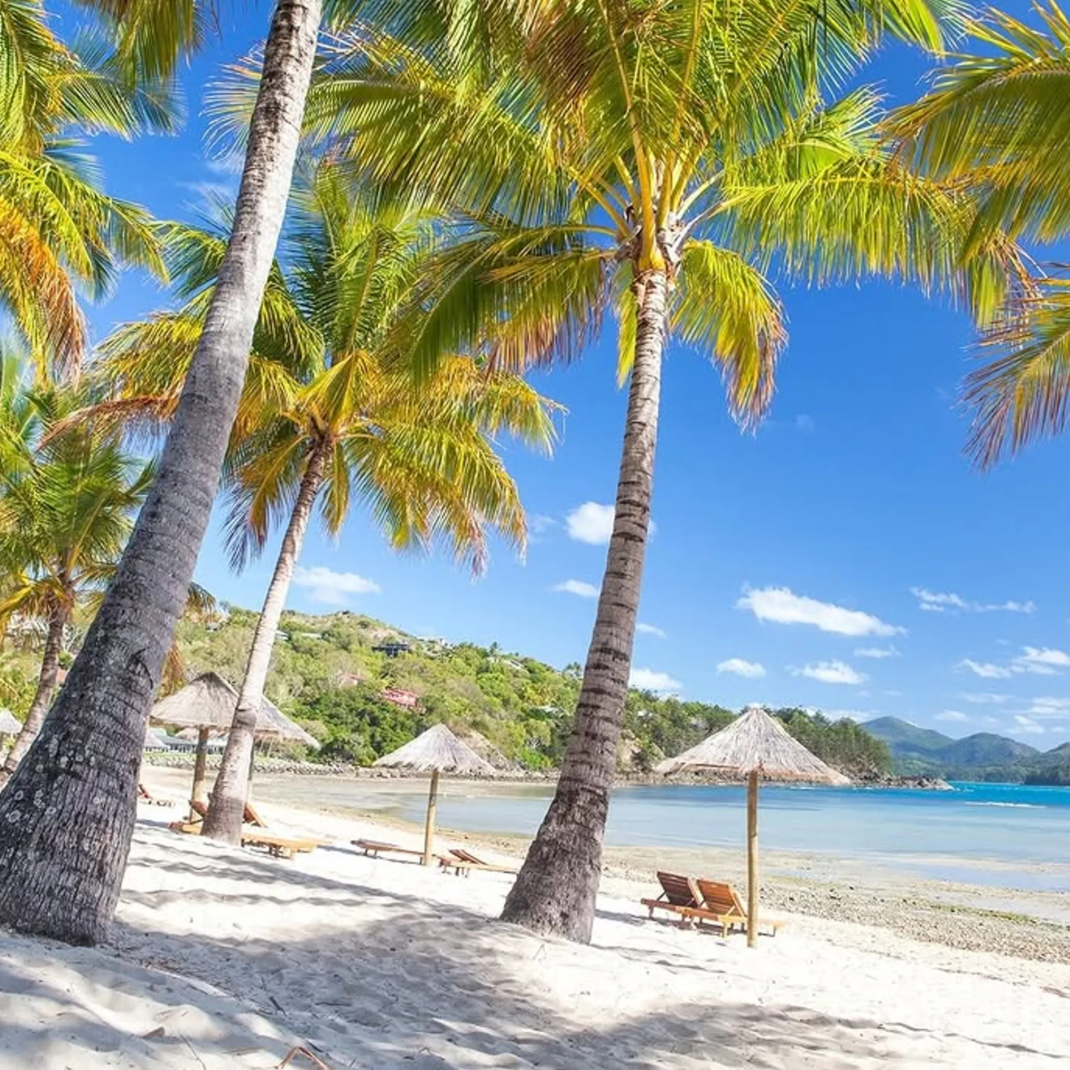 catseye beach palms white sand turquoise waters